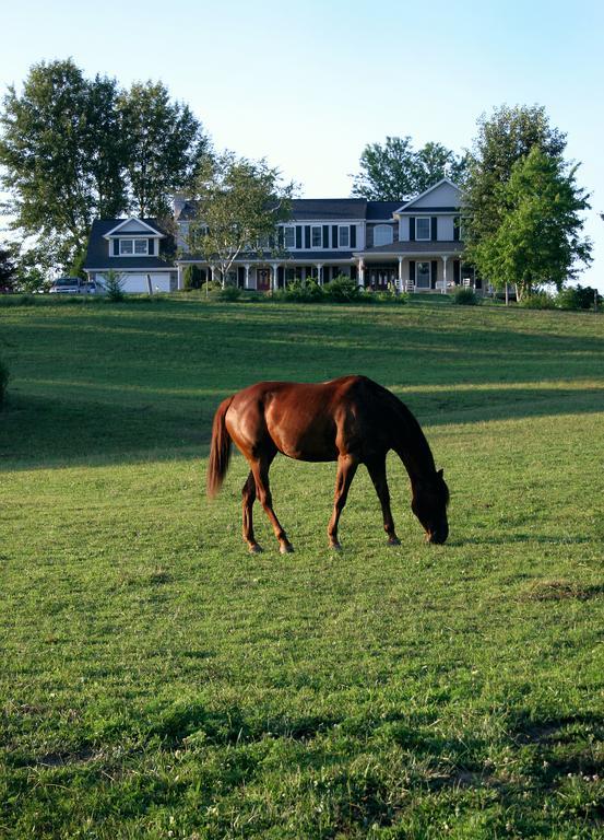 The Inn At Westwynd Farm Hershey Felszereltség fotó